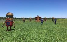 花田草海薰衣草庄园