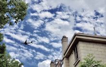 文兴公园自行车租赁点