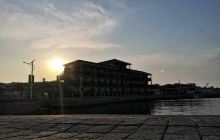 蚂蚁岛野生辽参原种场