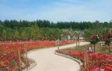 热带植物动物园