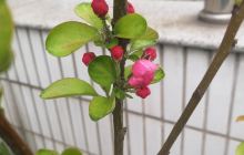 AAA国际矿业公司光华博物馆研发...