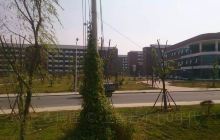 安徽理工大学