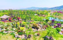 九龙湾花彩小镇