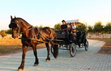 环宇马术俱乐部