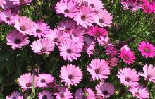 云南省昌宁县图书馆