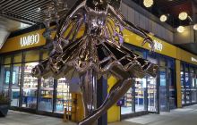 万科花溪大都会