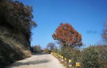 兰州市烈士陵园