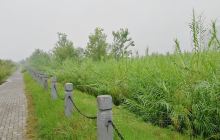 宝鸡工艺美术馆