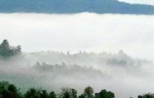 仙池山