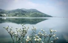 太华山新四军和江南抗日根据地纪...