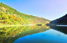 陕西黄陵国家森林公园