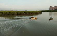 红树林文创公园