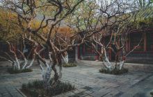 李苦禅纪念馆