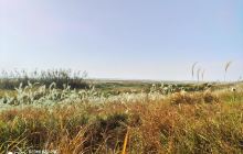 江西南矶山自然保护区