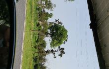 南湖区新丰基督教堂