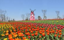 云澜湾·四季花海乐园