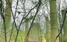 龙城遗址