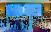 温州极地海洋世界