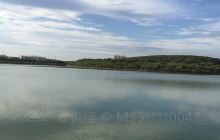 汤逊湖壹号湿地公园