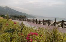 后宅镇宫前大圆