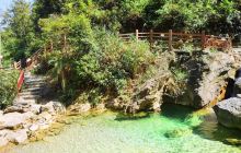 南海湾森林生态园