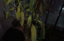 无锡协新毛纺织厂工业遗址