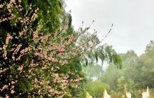 太阳山森林公园