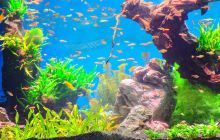 海立方海洋公园