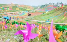 百万玫瑰梦幻花海