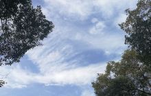 武汉市园林科普公园