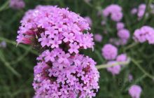 三谭革命事迹展览馆