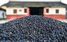 蕉岭客家红文创体验中心