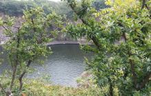 厦门市少儿图书馆中山公园馆