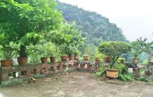 大千纸坊(夹江县马村石子清纸坊)