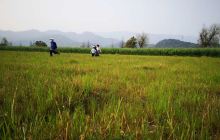 洞头区实验小学-开心农场