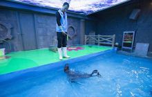 吉林海立方海洋乐园