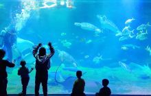 石家庄海洋公园