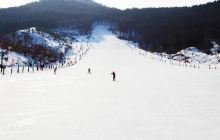 雷峰滑雪场