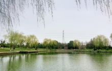 花卉园艺展示馆