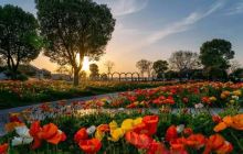 锡山区东亭街道健康主题公园