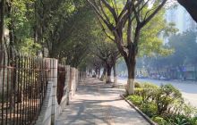 唐代龙窑遗址陈列馆