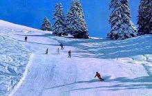 玉泉威虎山森林公园滑雪场