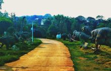 衡阳百万花海艺术庄园