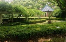 东华大学延安路校区-毕业纪念林