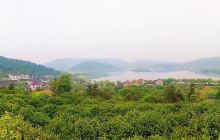 革命烈士纪念碑