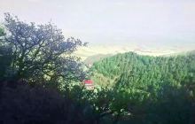 罗山自然保护区