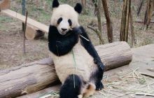 梁斌黄胄纪念馆