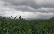 九华山温泉水城