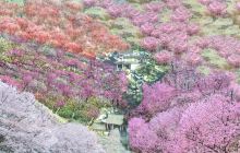 军官教育团旧址