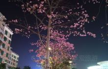 龙江文化健身广场